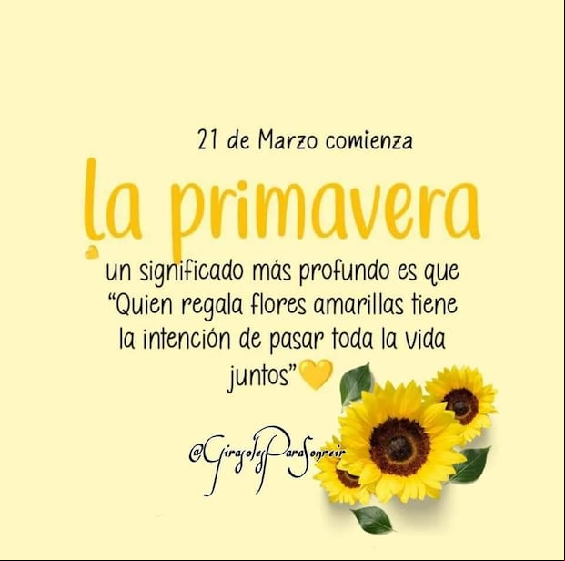 Imágenes de flores amarillas (Foto: Internet)
