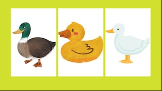 Test visual: ¿Qué pato eliges y qué secretos revela sobre tú subconsciente?