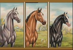 Elige uno de los caballos en esta imagen para descubrir cuán lejos llegarás e la vida