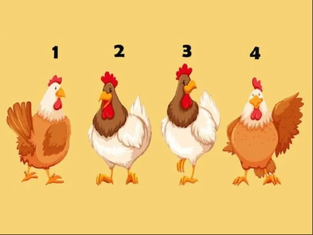 ¿Te has preguntado alguna vez cómo te ven los demás? Elige la gallina que más te atraiga y descubre si eres realmente querido, respetado y irado por los demás.