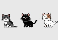 Elige uno de los gatos en esta imagen para descubrir si eres una persona mentirosa