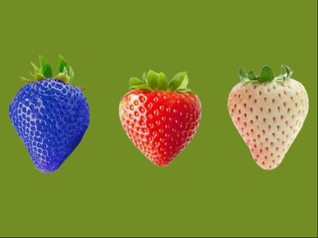 TEST DE PERSONALIDAD | Observa las imágenes de las diferentes fresas disponibles y elige la que más te llame la atención.