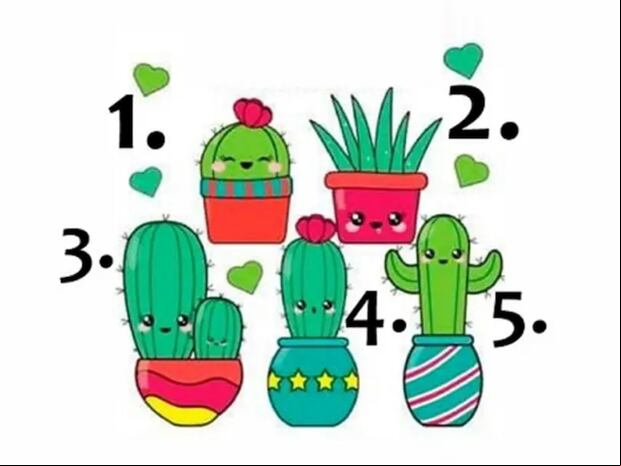 TEST VISUAL | Esta imagen muestra muchos cactus. Tienes que elegir uno. (Foto: namastest.net)