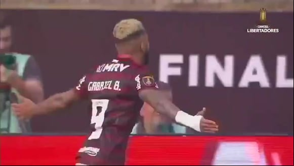 River y Flamengo jugaron la final de la Copa Libertadores 2019 en el Estadio Monumental. (Video: Conmebol Libertadores)